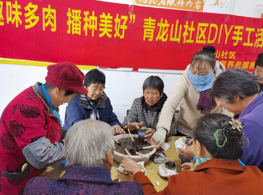 2023年11月14日 青龙山社区携手悦心居家养老服务中心开展“趣味多肉 播种美好”手工DIY活动